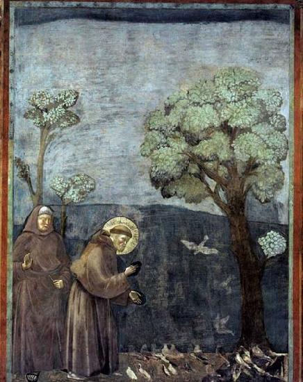 GIOTTO di Bondone Sermon to the Birds oil painting picture